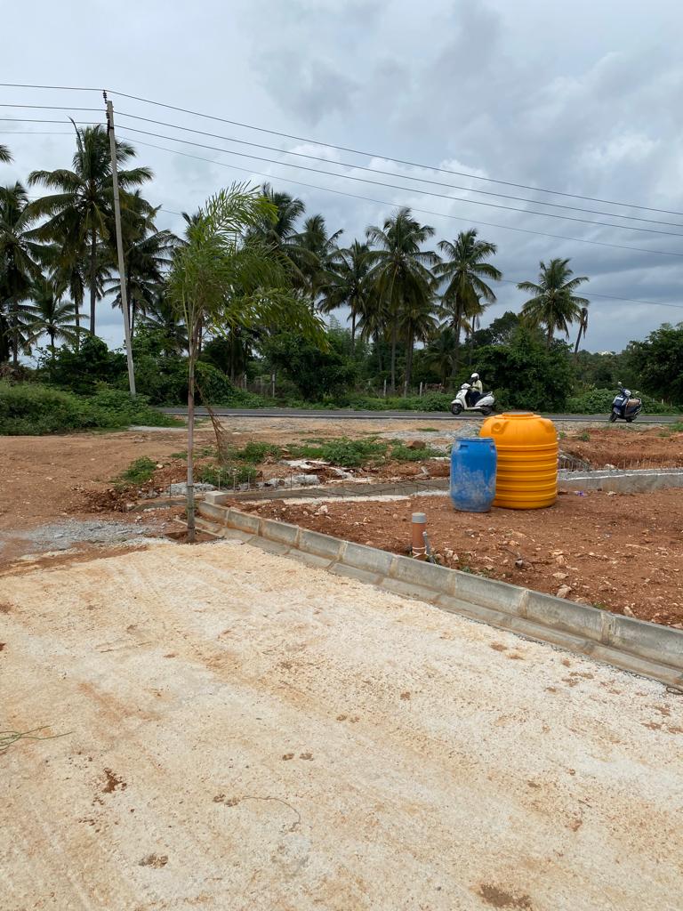 Belli Bhoomi