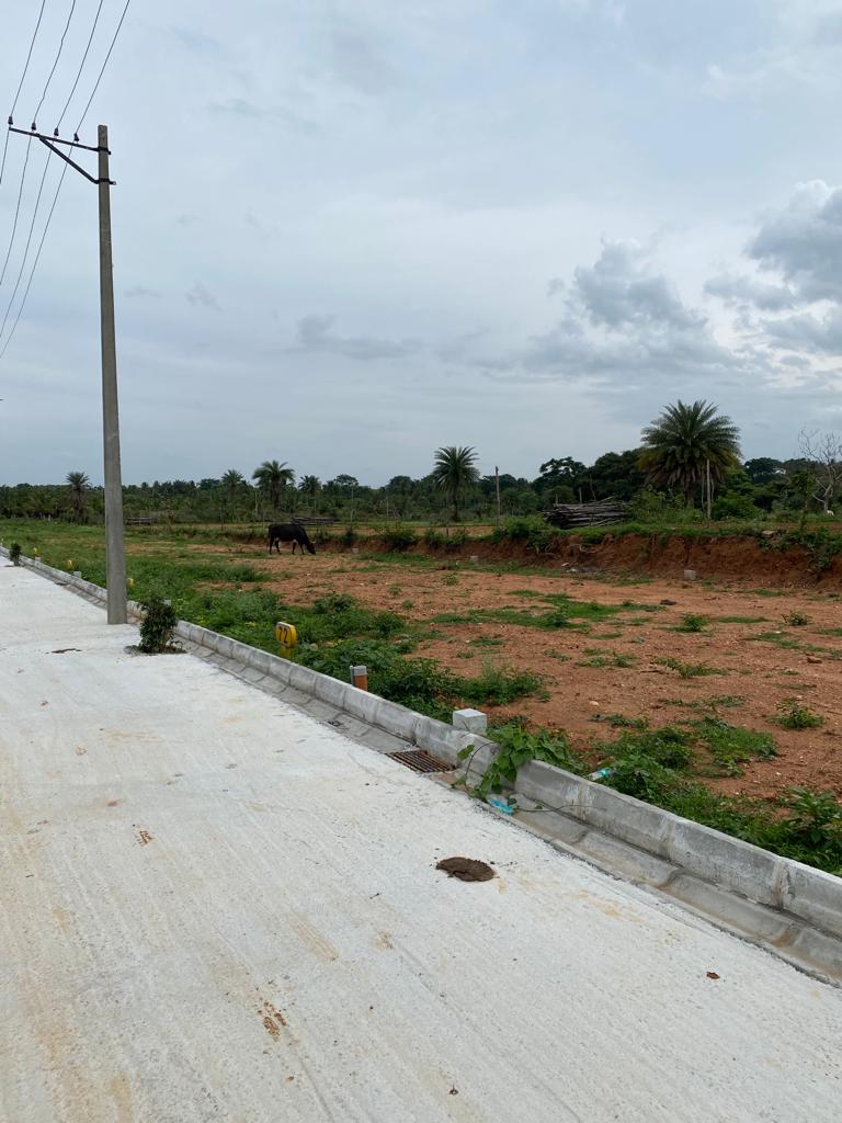 Belli Bhoomi